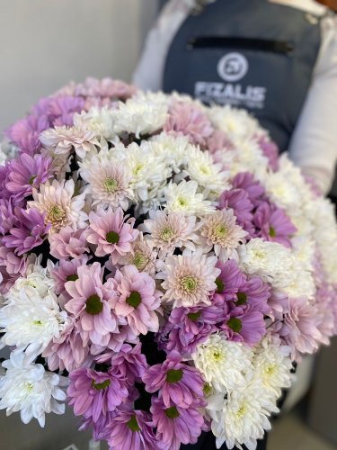 Хризантемы