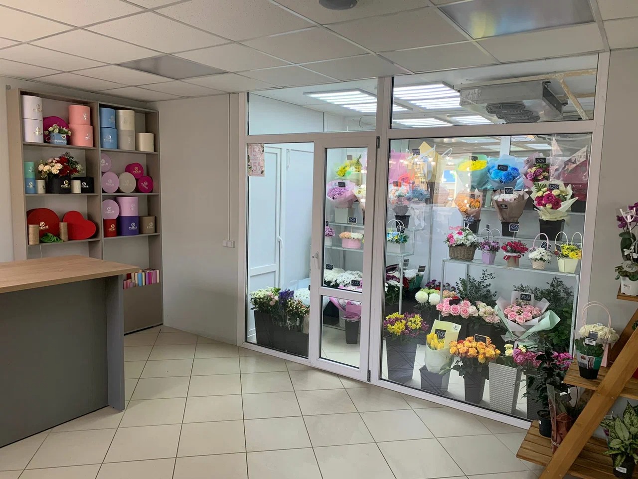 Открытие салона FIZALIS в Мглине