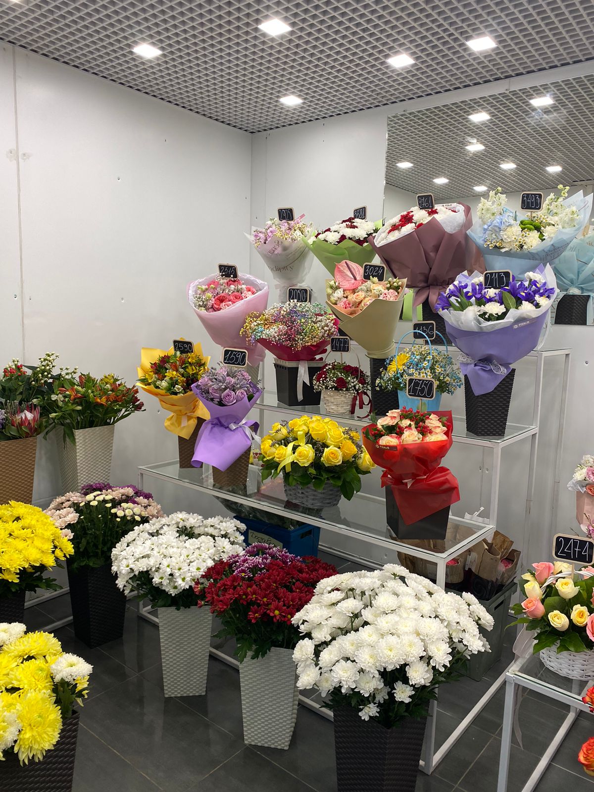 Открытие салона FIZALIS в Брянске, проспект Московский